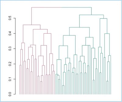 Identifying brain tumor patients’ subtypes based on pre-diagnostic history and clinical characteristics: a pilot hierarchical clustering and association analysis